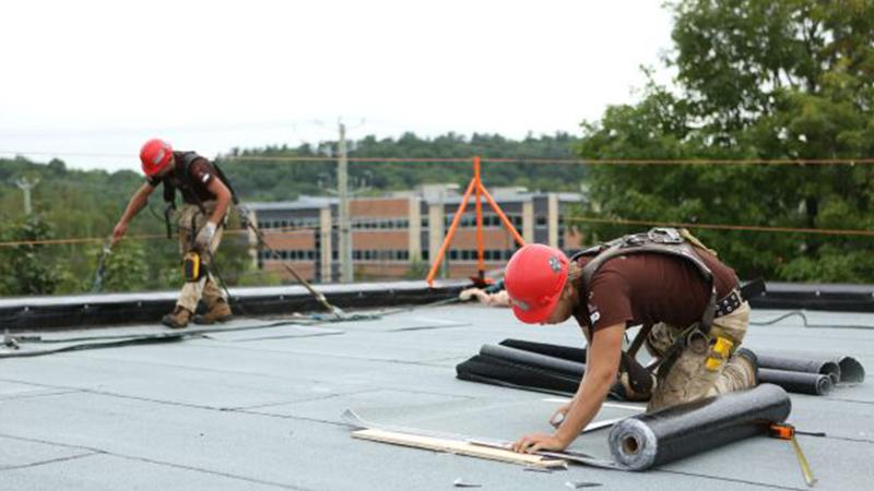 Travailleurs en action