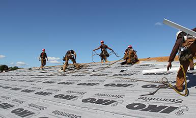 Une équipe dynamique et motivée