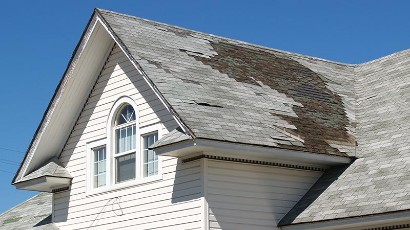 Conseils de notre expert sur la réparation de toiture